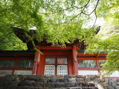 新緑の京都　一日目【２】　高雄の青もみじ　三尾めぐりのお散歩　高雄山神護寺　平岡八幡宮