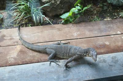 こどもとシンガポール 2泊5日 3日目