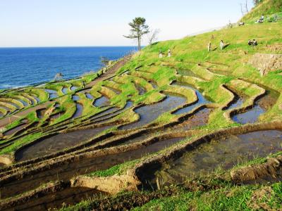 路線バスで行く能登半島の旅その１　白米千枚田・曽々木海岸へ