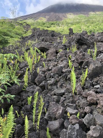 バヌアツ②　パーマ島・ロペヴィ火山登山