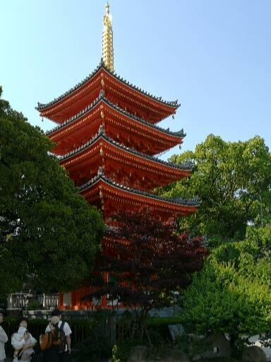 明太子づくりと福岡大仏で福岡を堪能してきた