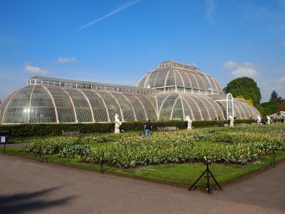 2019 GW LONDON家族旅行 ② Royal Botanic Gardens Kew 3日目