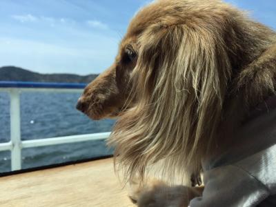 最終日3日目は野尻湖でファーストクラス？！