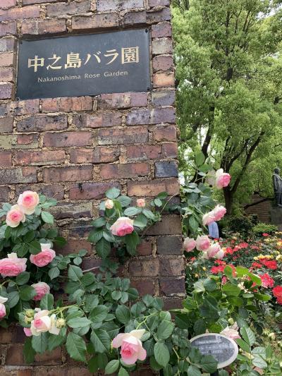 【薔薇の季節♪に心惹かれて】満開の中之島バラ園2019 ①