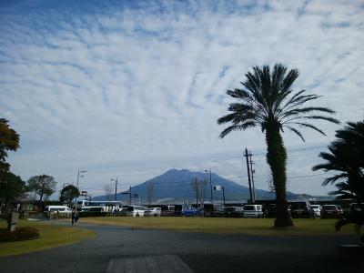 11月に2泊3日で鹿児島最終日