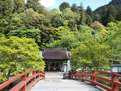 2019春　室生寺ハイキングと長谷寺へ寄り道