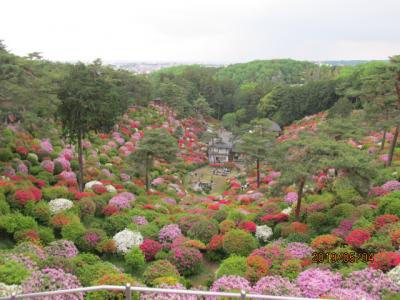 東青梅、塩船観音ハイキング（５）観音像足元の躑躅を眺め、霞丘陵を下山する。