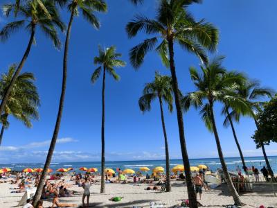 みんなでハワイ