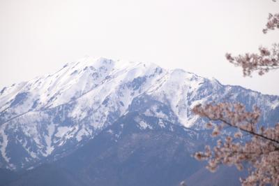 恒例のGW家族旅行　白馬で花巡り　1日目