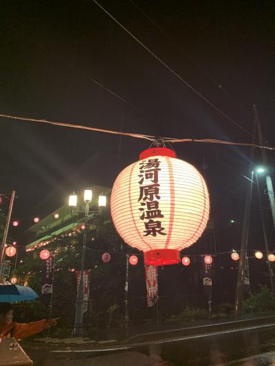 湯河原温泉&万葉公園の蛍の宴2019