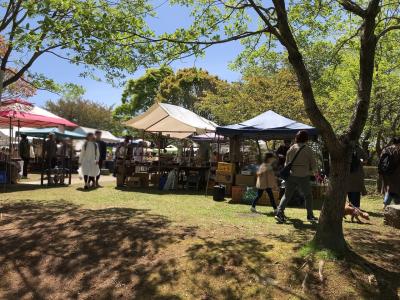 春の栃木、餃子と器探し旅