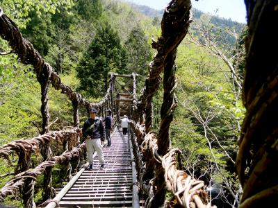 2019.5徳島高知ドライブ旅行12－二重かずら橋，野猿，天空の村・かかしの里，重文小采家