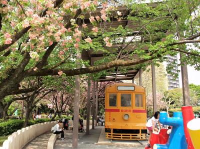 八重桜咲く飛鳥山公園は子ども達で大賑わい♪