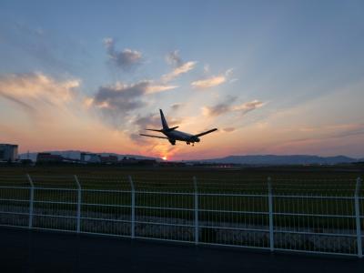 週末ちょこっと散歩　阪急曽根界隈（飛行機撮影は難しかった・・・）