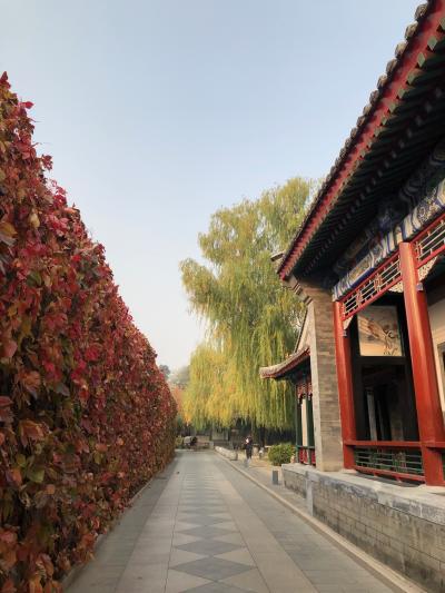 秋の北京を楽しむ旅～アマンサマーパレスと万里の長城～(2)