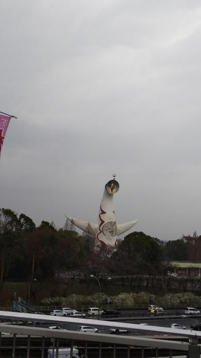 サッカー観戦と大阪奈良旅行②