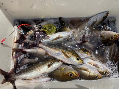 ２０１９－５月