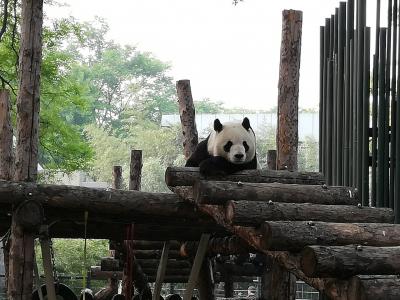 北京動物園