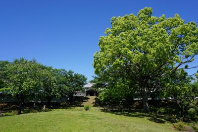 関西散歩記～2019 京都・長岡京市編～