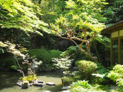 ご即位のときだけにご開帳の長楽寺