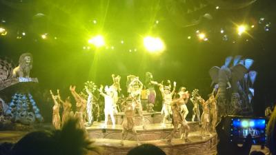 2019 1月 香港  前編～香港ディズニーとゴンピン～