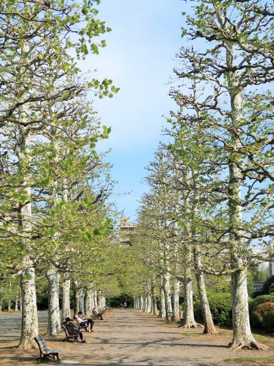 新宿御苑-1　日本/フランス/イギリス式庭園　良いとこ組み合わせ　☆2時間余でぐるり周遊