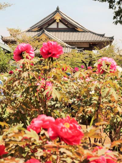 lrg_11495239.jpg?updated_at=