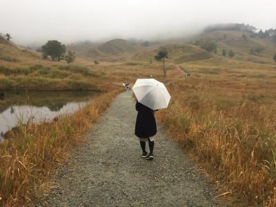 秋らしい景色を求めて～砥峰高原～