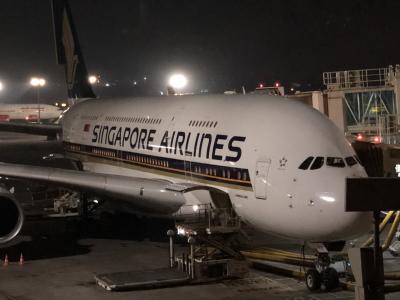 2018.11 初インド旅行+おまけのシンガポール⑦