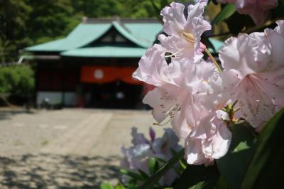 つつじの佐白山正福寺の佐白観音(坂東23)、藤の笠間稲荷神社、笠間工芸の丘でお土産を。長い一日♪