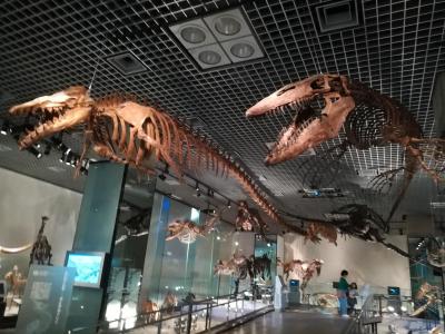 幼児と恐竜を観に国立科学博物館へ