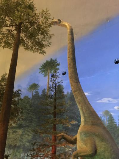 驚愕の福井県立恐竜博物館