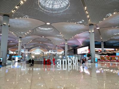 行きは初インボラ!帰りは遅延ロスバケ泣・ターキッシュエアラインで行くアテネ・サントリーニ島1(イスタンブール観光)