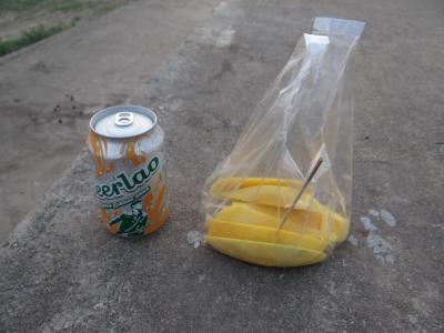 ラオス<ビエンチャン メコン川>(2019年GW 5日目(part2))