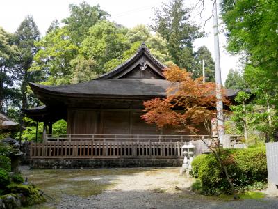 2019.5徳島高知ドライブ旅行15ー国宝豊楽寺薬師堂，もどって徳島 脇町に