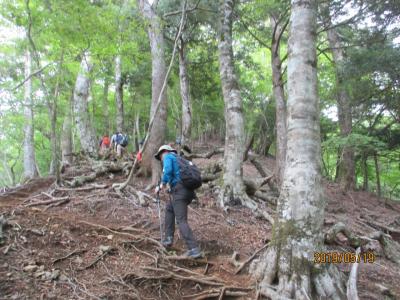 神奈川・西丹沢＜檜洞丸（ひのきぼらまる）＞日帰りトレッキング・温泉