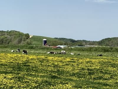 道北へドライブ（ほぼ道の駅めぐり）＆釣り