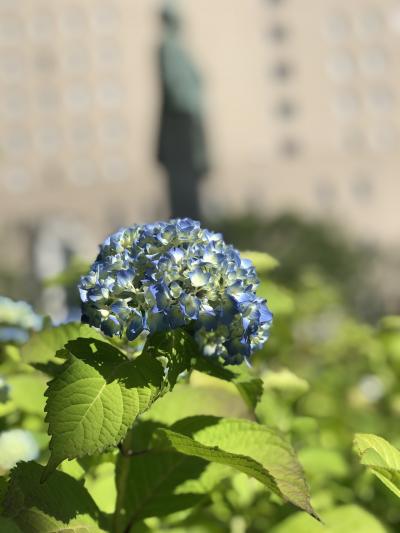 湯田温泉ひとり旅 2019/5/20