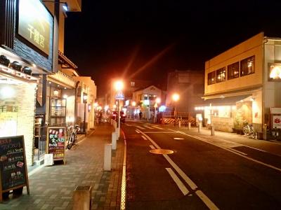 成田で前（後）泊するなら-2/3  成田山参道で居酒屋徘徊