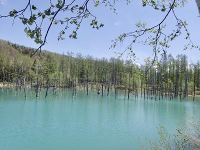 北海道弾丸旅行　2019.5