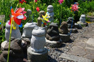 関西散歩記～2019 京都・京都市伏見区編～