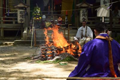 ★街十色～ ひとり青もみじ狩り部②　御縁日の岩間寺・山科の毘沙門堂と憧れのタコ公園・御霊神社宵宮など★