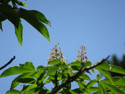 根来寺へ