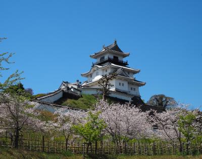 青春１８きっぷの旅 ２０１９年春 平成最後の桜を求めて ［８］ 静岡、掛川城の桜など
