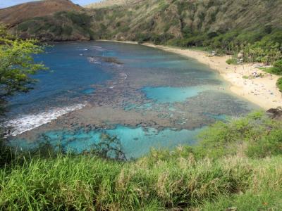 家内と行くハワイ(オアフ島)旅行 その3