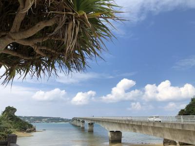 梅雨入り前の沖縄旅行【2日目、最終日】