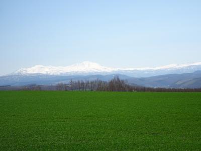 あこがれの北海道　思い切り見たい行いたい食べたいの欲張りの旅にしよう　③旭川から札幌まで