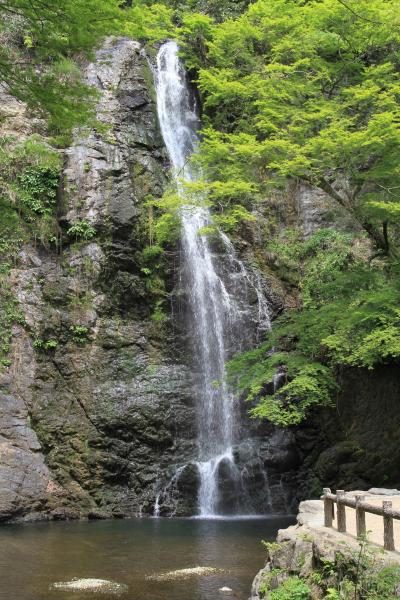 新緑の箕面の滝