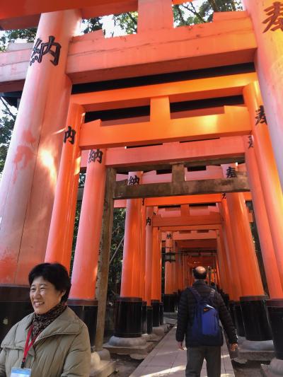 京都一日遊　伏見稲荷大社＞二条城＞松葉＞建仁寺