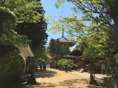 高野山に行ってみた！（日帰り）